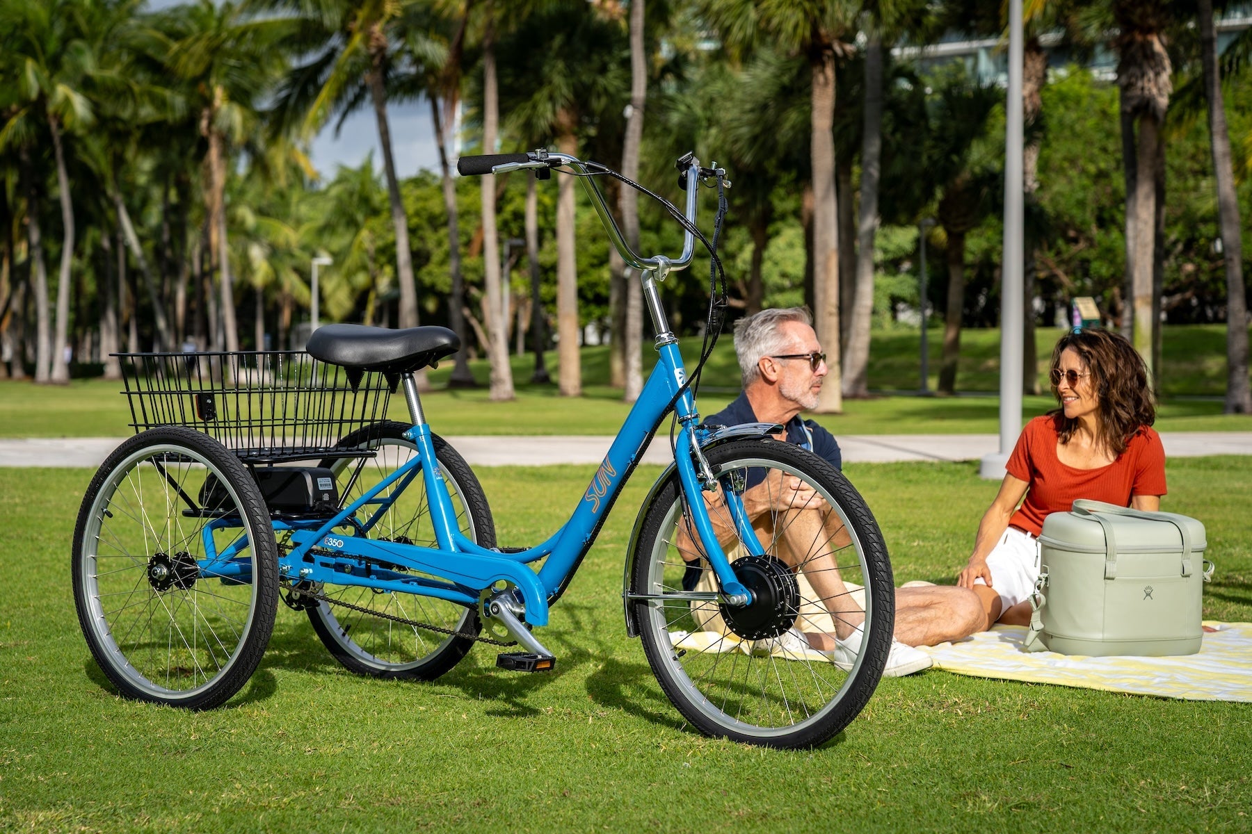 electric trike bicycles Alpine Expedition The powerful 750W rear hub motor delivers smooth acceleration and strong hill climbing performance Electric Trikes Sun Bicycles