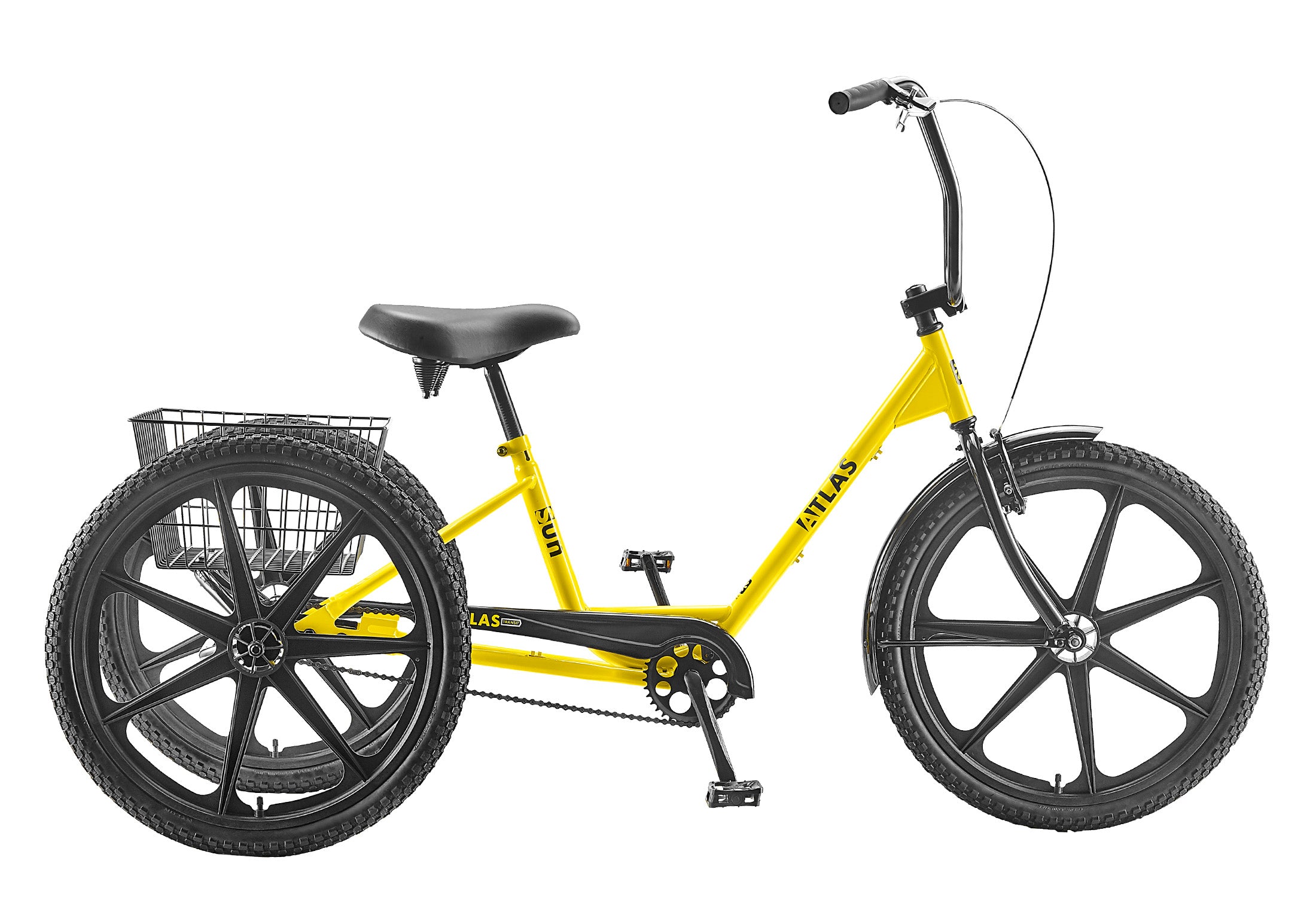 buy adult tricycle
