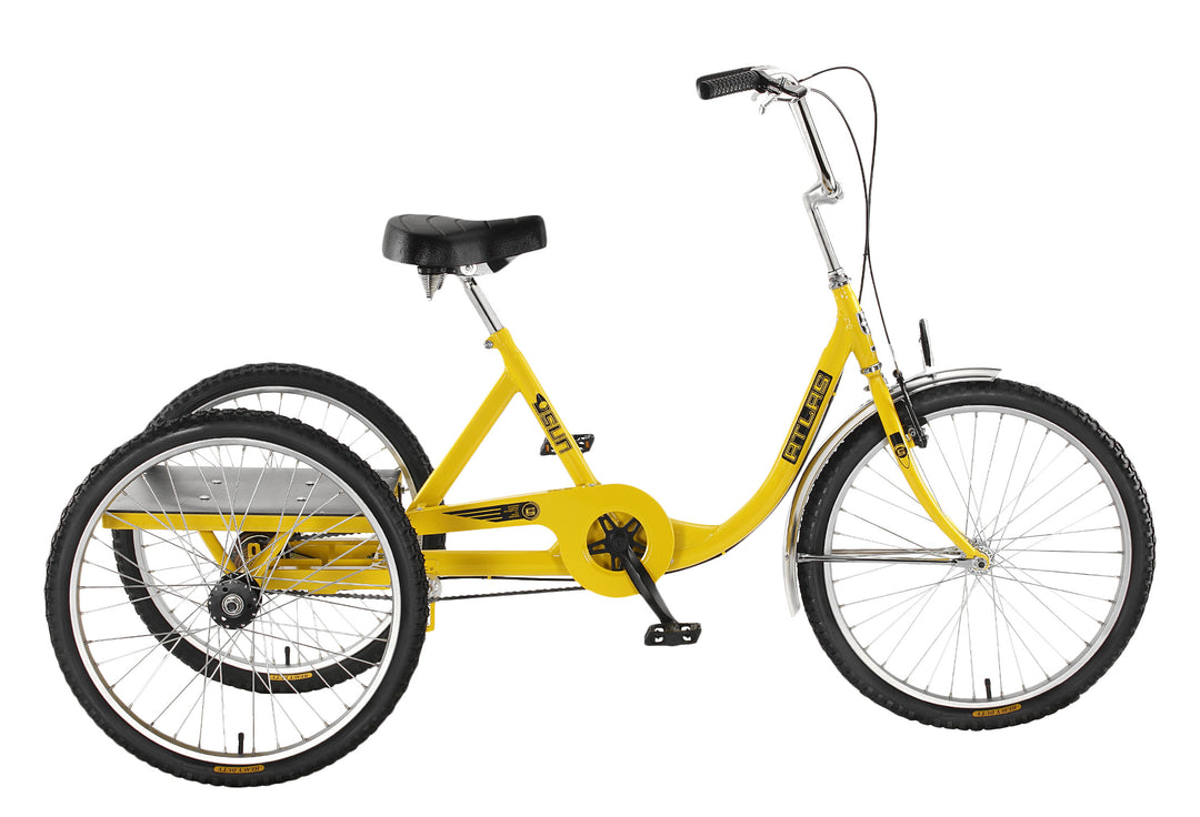 Sun Adult Trike Sun Bicycles Three Wheel Trike Bike